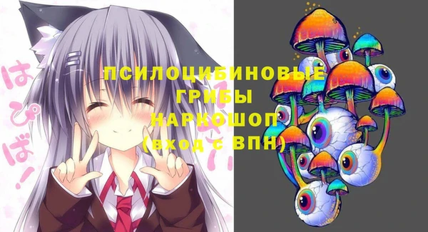 прущая мука Абаза